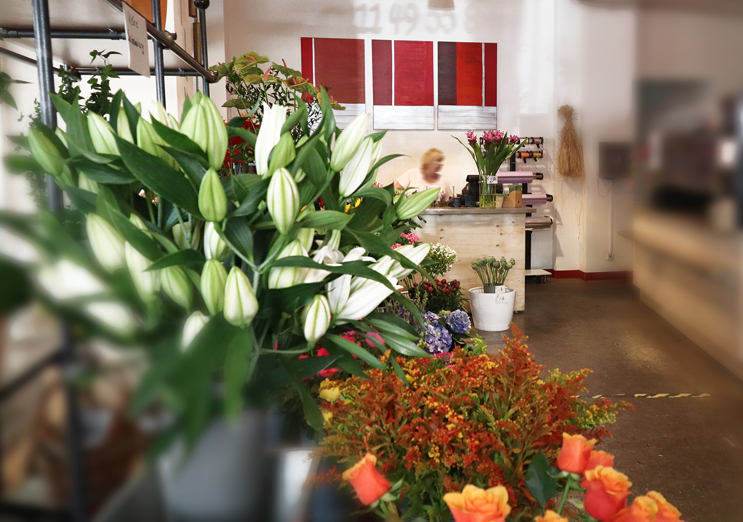Das Blumenhaus
